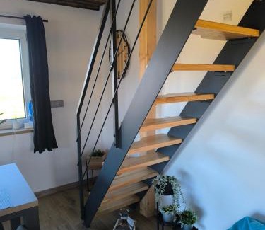 Stare Mesto Apartment | Horský apartmán Stříbrnice