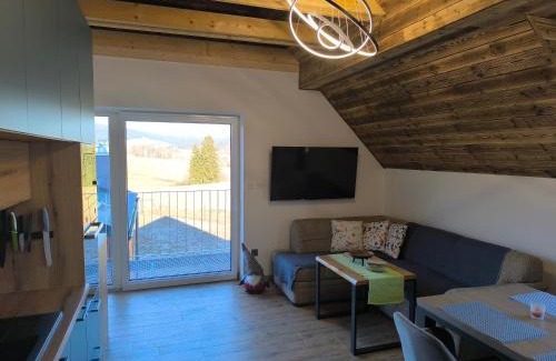 Stare Mesto Apartment | Horský apartmán Stříbrnice