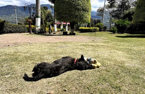 Choachi House | Hospedaje Campestre Las Palmas 104