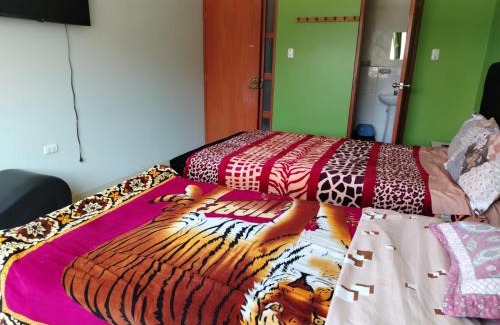 Pillco Marca Hotel | Hospedaje el Mirador del Pillcomozo