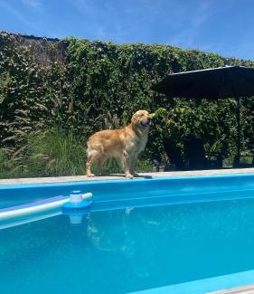 El Carril Apartment | Hospedaje Golden