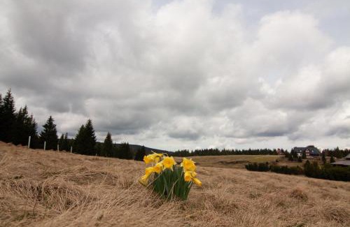 Jizerka House | Hospoda na Jizerce