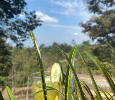 Naranjal Apartment | Hostería del pescador