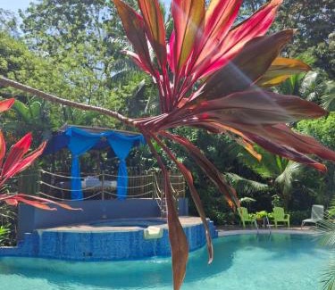Cahuita Cabin | Hotel 3 Bamboo Ecolodge