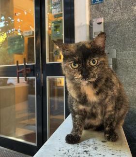 Massa Hotel | Hotel Annunziata