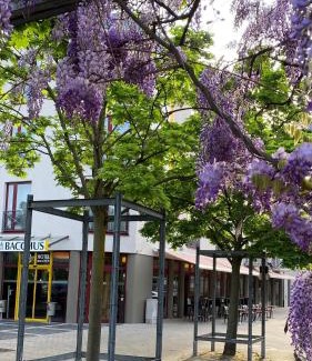 Bensheim Hotel | Hotel Bacchus