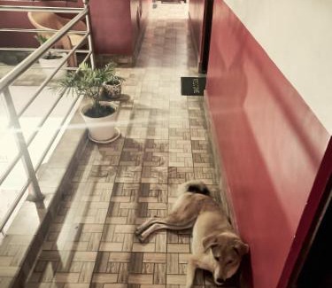 Gandaki Zone Hotel | Hotel Baishnav, The Hub-Mugling