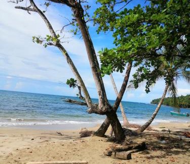 Manzanillo Apartment | Hotel Boutique D Angelo