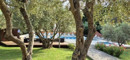 Rakalj Hotel | Hotel Carmen