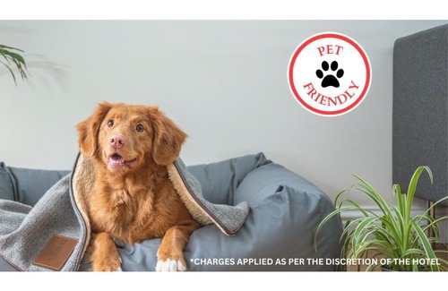 Texarkana Hotel | Hotel Comfort Stay by OYO Texarkana East, AR I-30