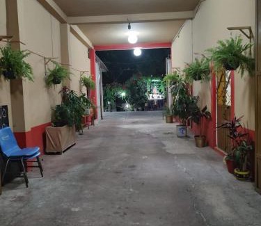 Tochimilco Hotel | Hotel D Silva