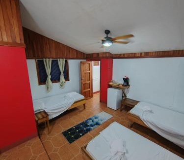 Tortuguero House | Hotel Don Quichotte