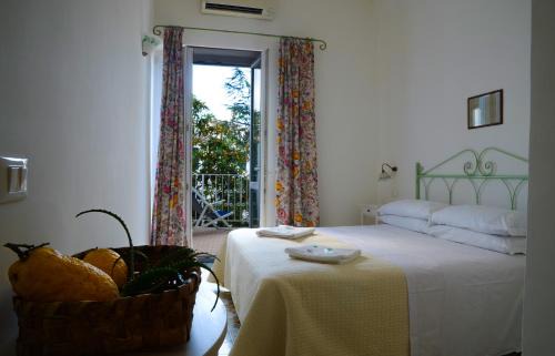 Ischia Porto Hotel | Hotel Europa