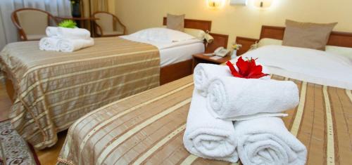 Miercurea-Ciuc Hotel | Hotel Fenyõ Conference & Spa