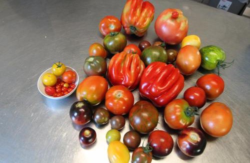 Heinersreuth Hotel | Hotel-Gasthof Opel Bed & Breakfast