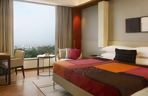 Mahipalpur Hotel | Hotel Good Luck