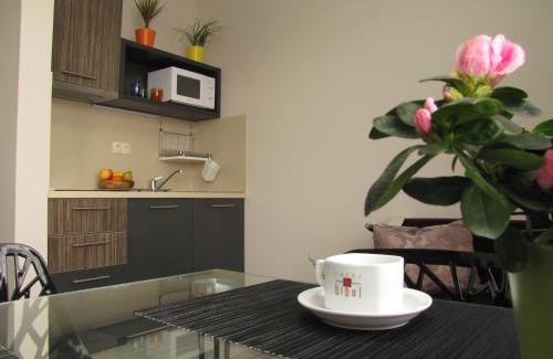Hisarja Apartment | Hotel Hello Hissar
