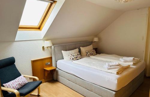 Bad Krozingen Hotel | Hotel Hofmann Zur Mühle