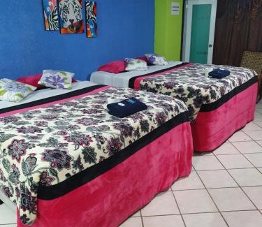 Quetzaltenango Hotel | hotel kasa kamelot 2