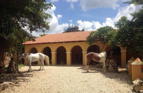 Conkal Villa | Hotel la Caprichozza