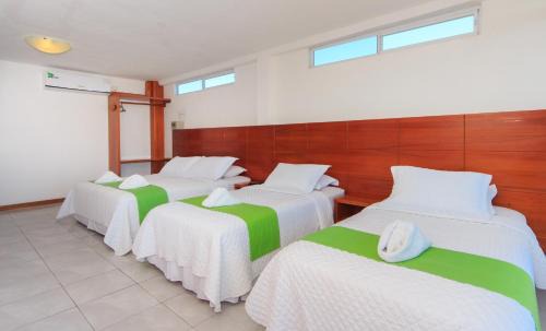 Puerto Ayora Hotel | Hotel La Casa de Judy