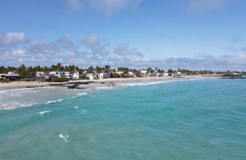 Puerto Villamil Hotel | Hotel LA GRAN TORTUGA - ᯤ STARLINK