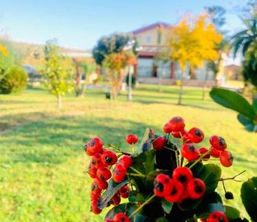 Corigliano Calabro Hotel | Hotel La Primula