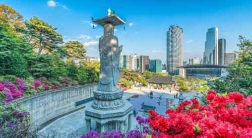 Seocho-dong Hotel | Hotel Lava Seocho