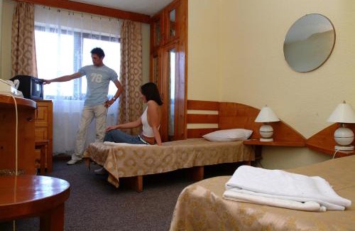 Timisoara Hotel | Hotel Le Baron