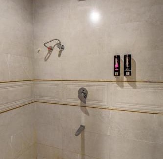 Nashik Hotel | Hotel Majestic Pearl