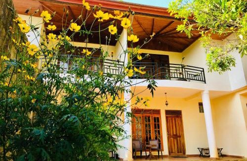 Nallathanniya House | Hotel mango tree nearest Adam's peak