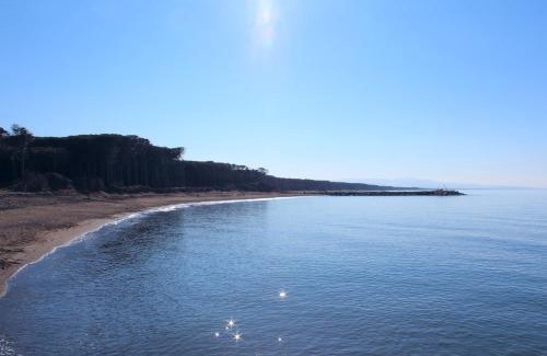 Marina di Cecina Hotel | Hotel Massimo