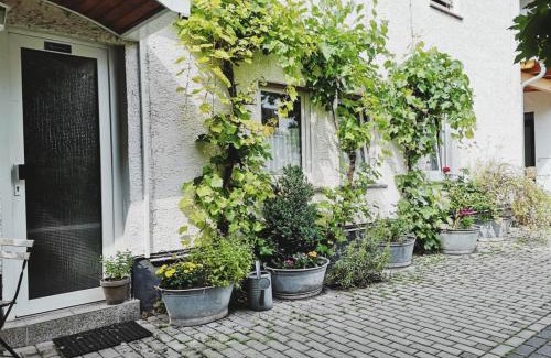 Biebrich Hotel | Hotel Meuser