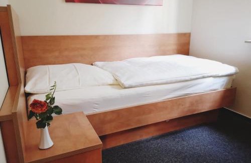 Biebrich Hotel | Hotel Meuser