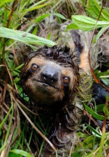 Rincon Hotel | Hotel Mirador Osa