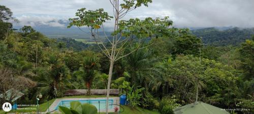 Rincon Hotel | Hotel Mirador Osa