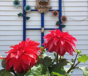 Isle aux Coudres Hotel | Hotel-Motel Les Voitures d'Eau