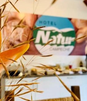 Campeche Hotel | Hotel Natur Campeche