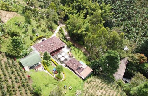 Jardin Hotel | Hotel Orillas del Pizano