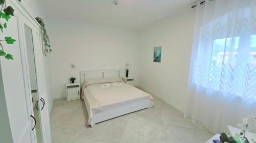 Scalea Hotel | Hotel paradiso