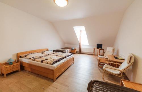 Vranov nad Dyji Hotel | Hotel Pod Zámkem