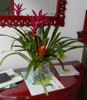 Popayan Hotel | Hotel Popayan Plaza