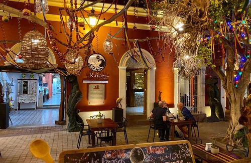 Downtown Mazatlan Hotel | Hotel Raices de Mar