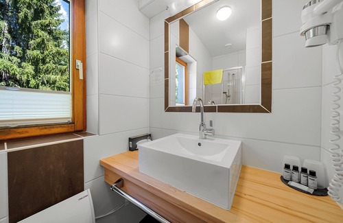 Ramsau am Dachstein Hotel | Hotel Ramsauer Alm