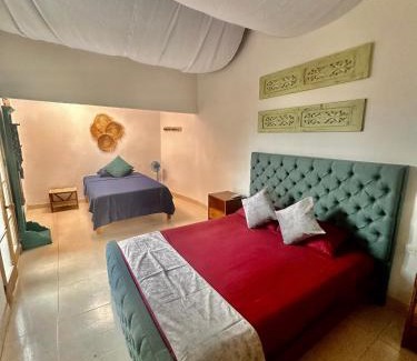 Palomino Hotel | HOTEL RENASCI PALOMINO