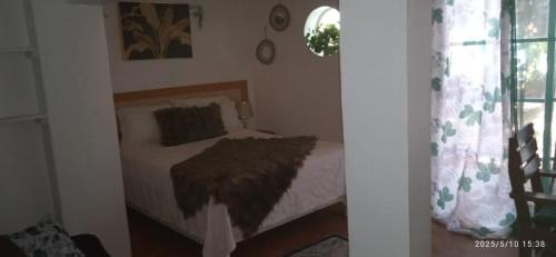 Caribbean Islands Hotel | Hotel Restaurant Wuarao - Antiguo Club Rolling Stones