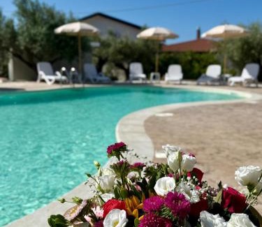 Gizzeria Hotel | Hotel Ristorante L'Avvenire