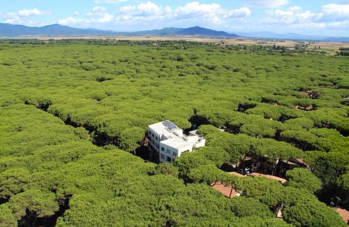 Marina di Grosseto Hotel | Hotel Rosmarina