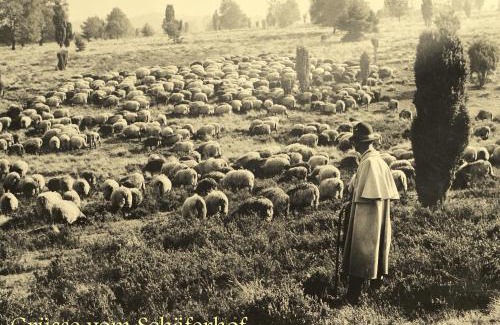 Schneverdingen Hotel | Hotel Schäferhof