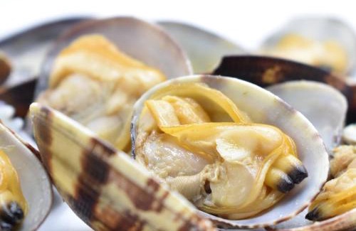 Soresina Hotel | Hotel Soresina